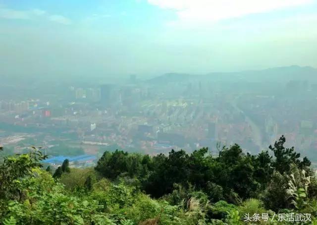 江夏不为人知的地方,江夏是啥地方