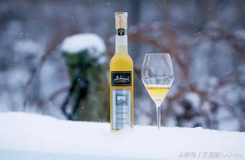 为什么冰酒贵,真正的冰酒是什么样子