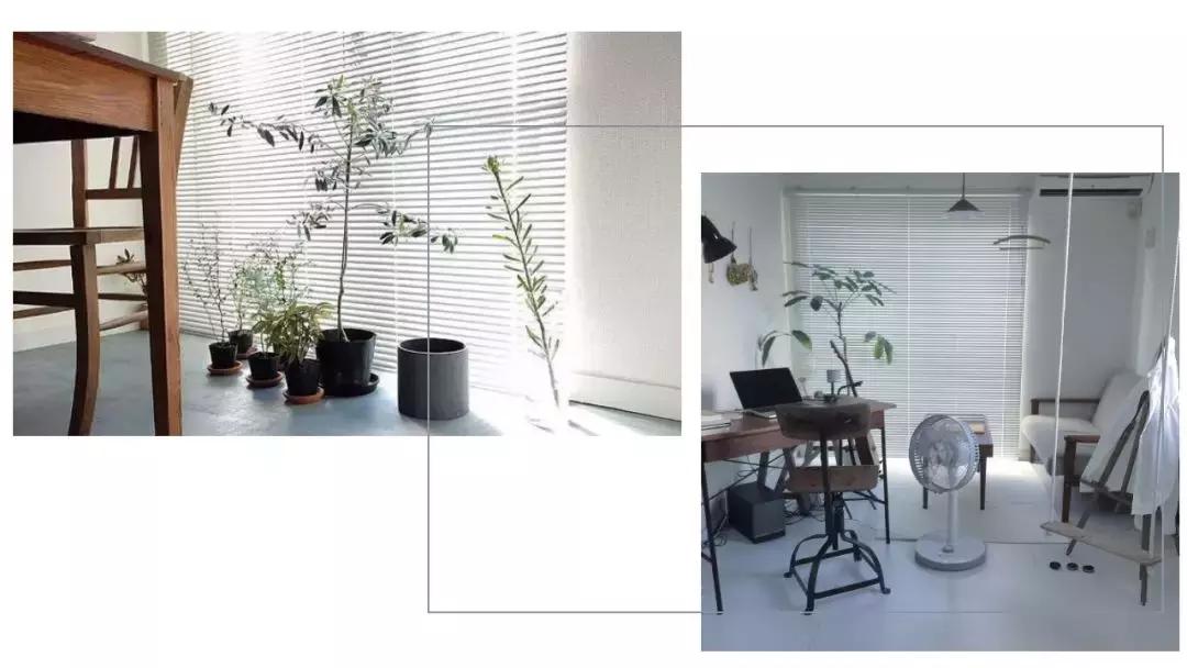 鹿晗胡歌彭于晏,彭于晏鹿晗胡歌