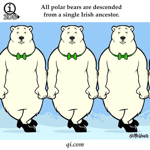 GIF呆萌动物冷知识，知道5个以上算你厉害！