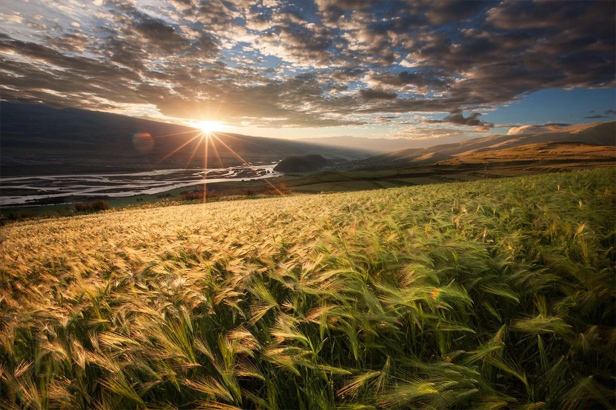 如何拍出油腻感的照片,怎么拍出油腻照片