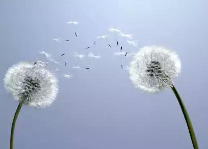 手上的红绳断了,红绳戴久了会断吗