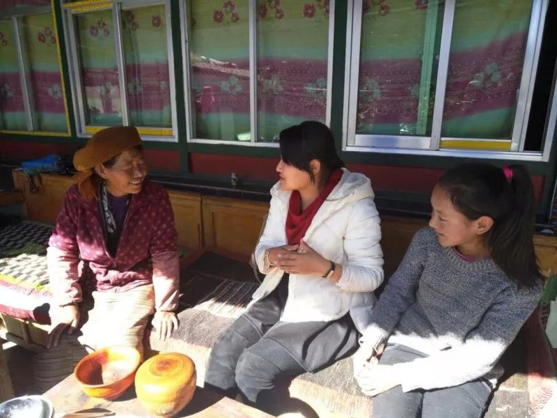 1268名大学生志愿者,20所高校志愿者