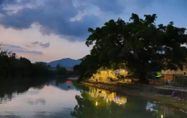 踏青攻略请收好,踏青出游时请收好这份指南