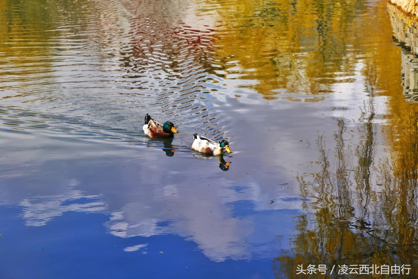 行，为寻三生三世桃花，却爱上了*藏西**的那抹蓝