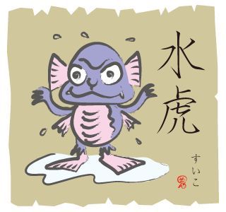 河川猛虎，切勿戏弄「百鬼·水虎」