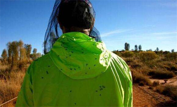 婢冲ぇ鍒╀簹鑻嶈潎鏈夊鍘夊,婢虫床鑻嶈潎鏈夊鍘夊
