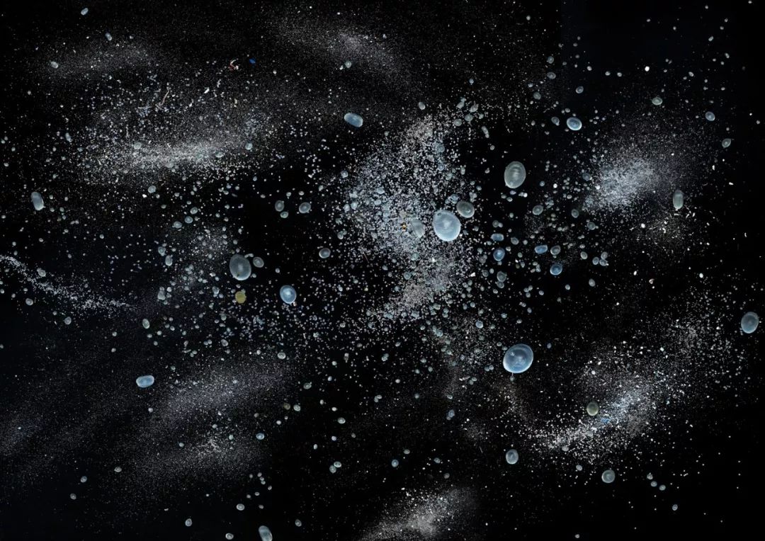 要地球，还是塑料？｜Zoom