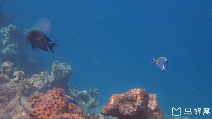 蜜月之都马尔代夫,蜜月旅行之马尔代夫
