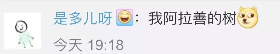 段子成真！手机号能继承，那QQ微信花呗行不行？答案来了……