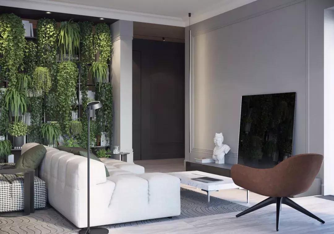 墙上种什么植物最好,景观墙上盆栽什么好看