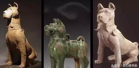 川东邻水猎犬基地,川东猎犬是中华田园犬吗