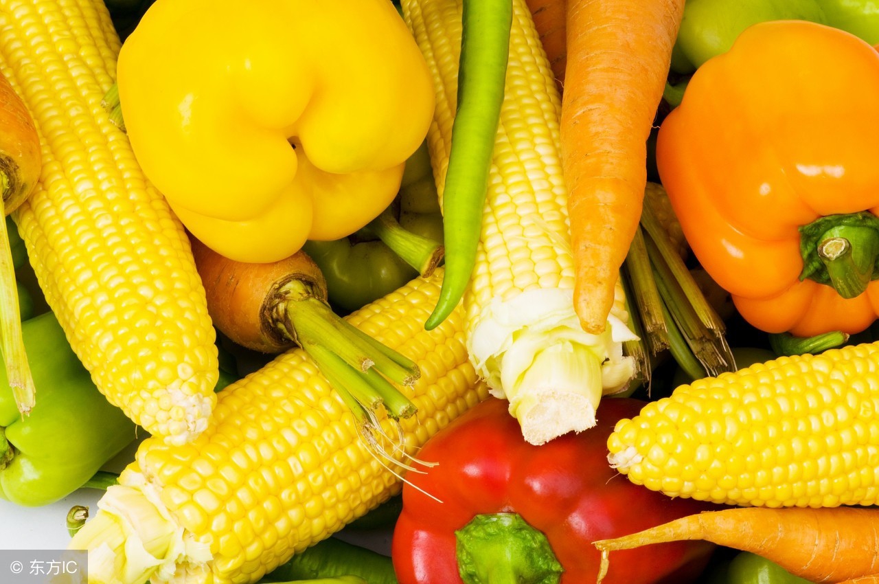 有机农业的困境和出路,有机肥料国内发展