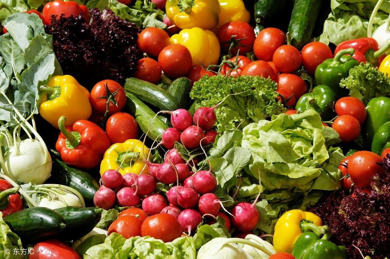 有机农业的困境和出路,有机肥料国内发展