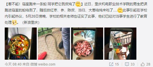 家里进蛇要怎么处理,家里进蛇后多久会死