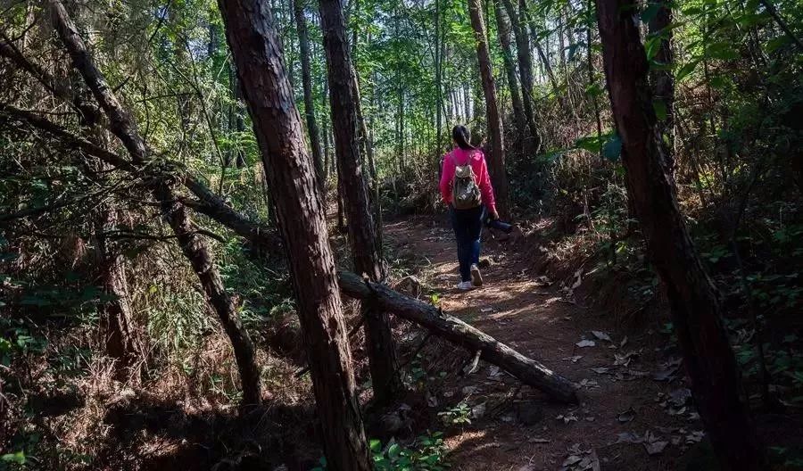 不必远行自有风景,不必远行在家度假