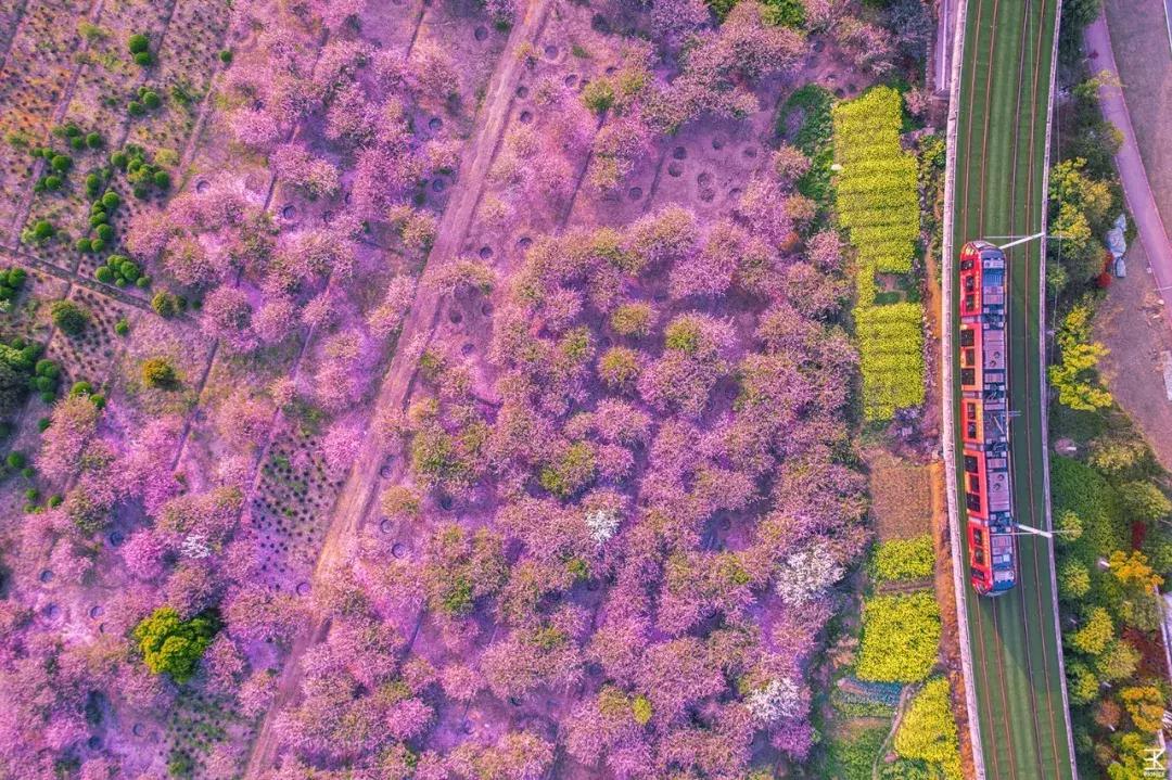 端午3-5天短途旅游推荐,端午避暑旅游推荐