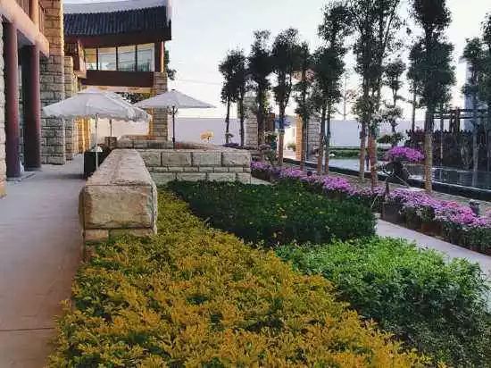 攀枝花市周边清凉避暑去哪里最好,夏季攀枝花旅游景点打卡推荐