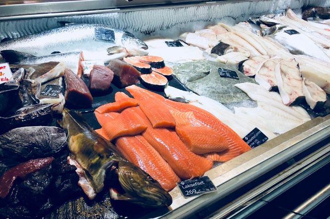 市场上60元一斤的三文鱼是假的吗,现在市面上的三文鱼是真的吗