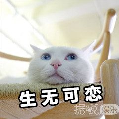 带有足球场的别墅,足球场别墅效果图