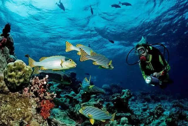 谁去谁瘦！全球6大减肥海岛圣地，狂甩卡路里！