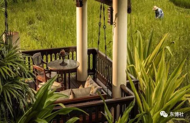 清迈四季酒店摄影,泰国清迈四季酒店