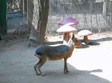 武汉春天周末带孩子玩攻略,这个季节武汉哪里适合带孩子去玩