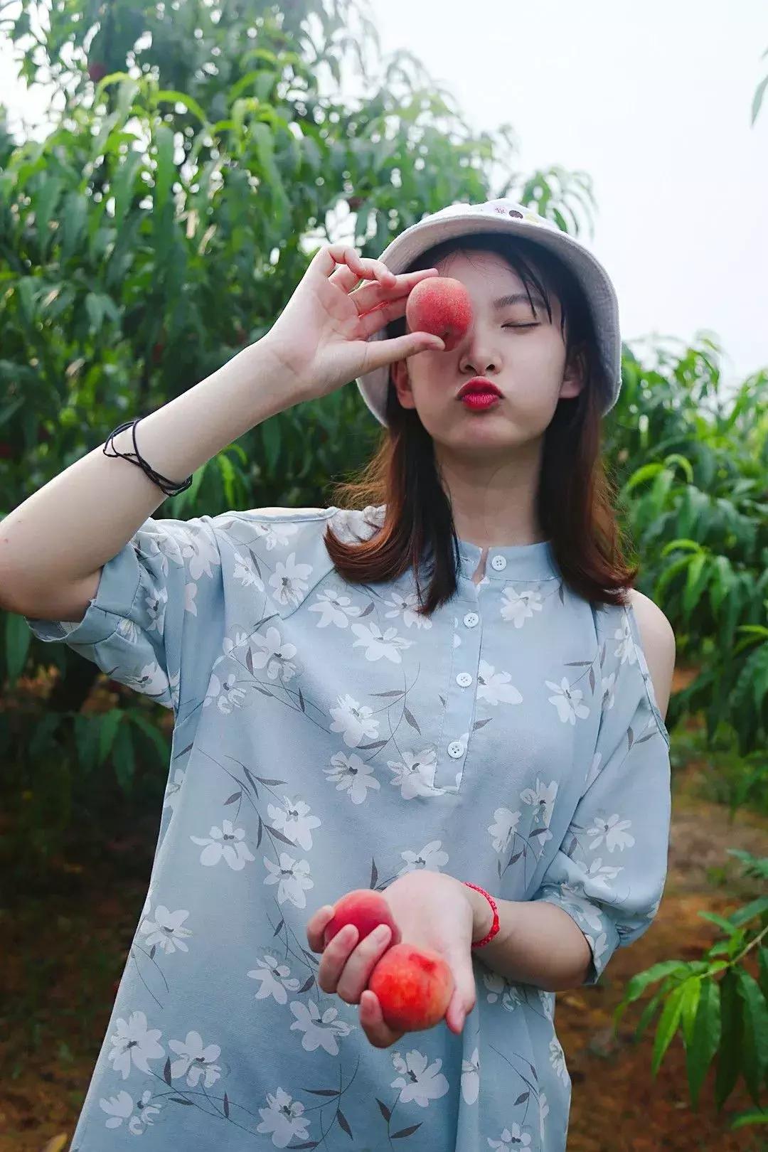 清甜爽脆的台湾甜桃已开采摘啦！30元任摘任吃！速度约起来！