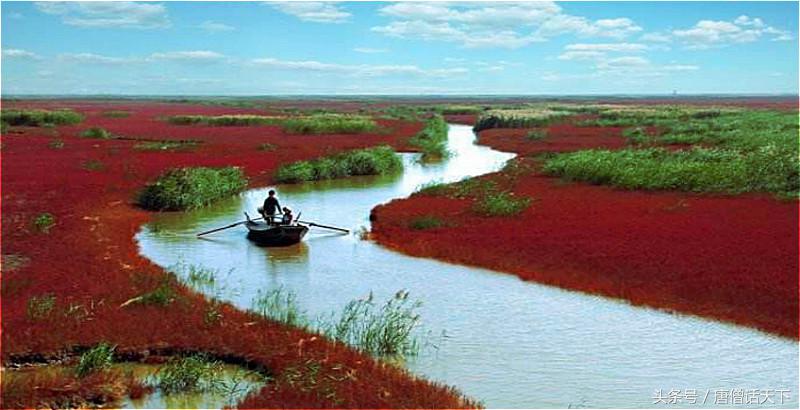 歪果仁眼中中印,歪果仁看红海行动