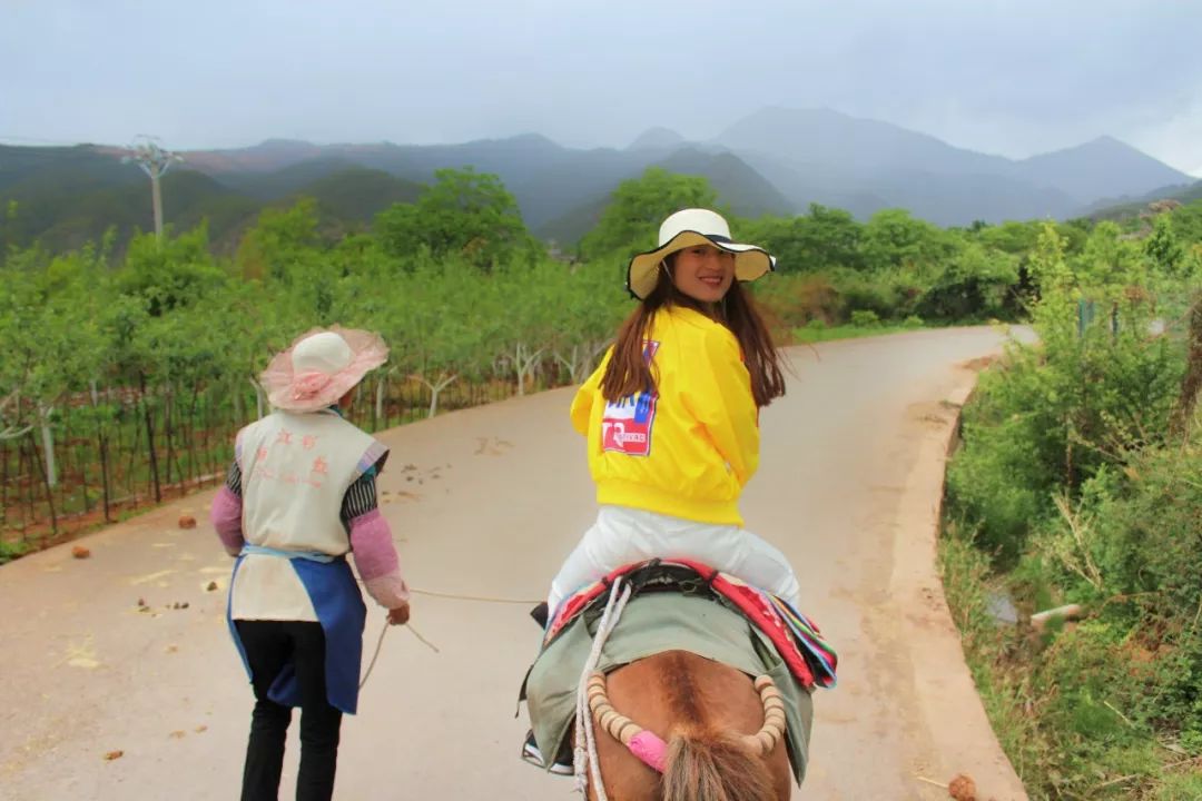 一个人旅行云南丽江,一个人去云南丽江旅行攻略图