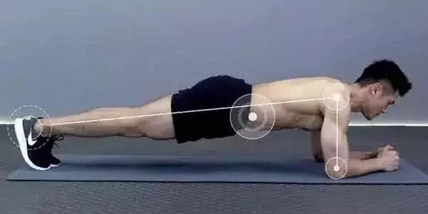 平板支撑每天练几组能练出腹肌,平板支撑能锻炼到哪些肌肉