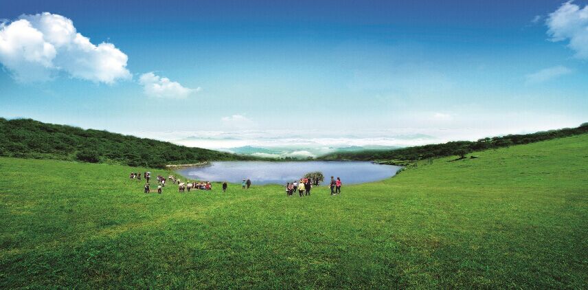 福建儿时的记忆山上的野果,福建山上秋天野果