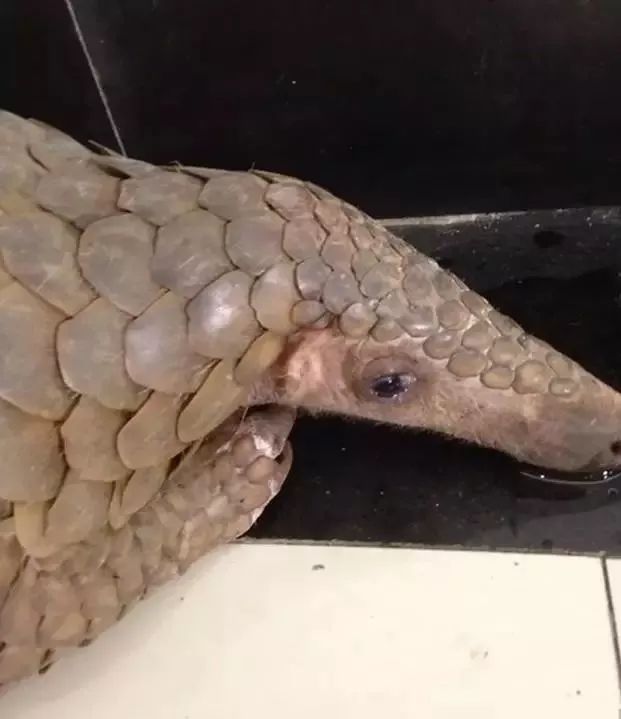 代购骗局揭秘朋友圈,朋友圈里卖低价服装的真相