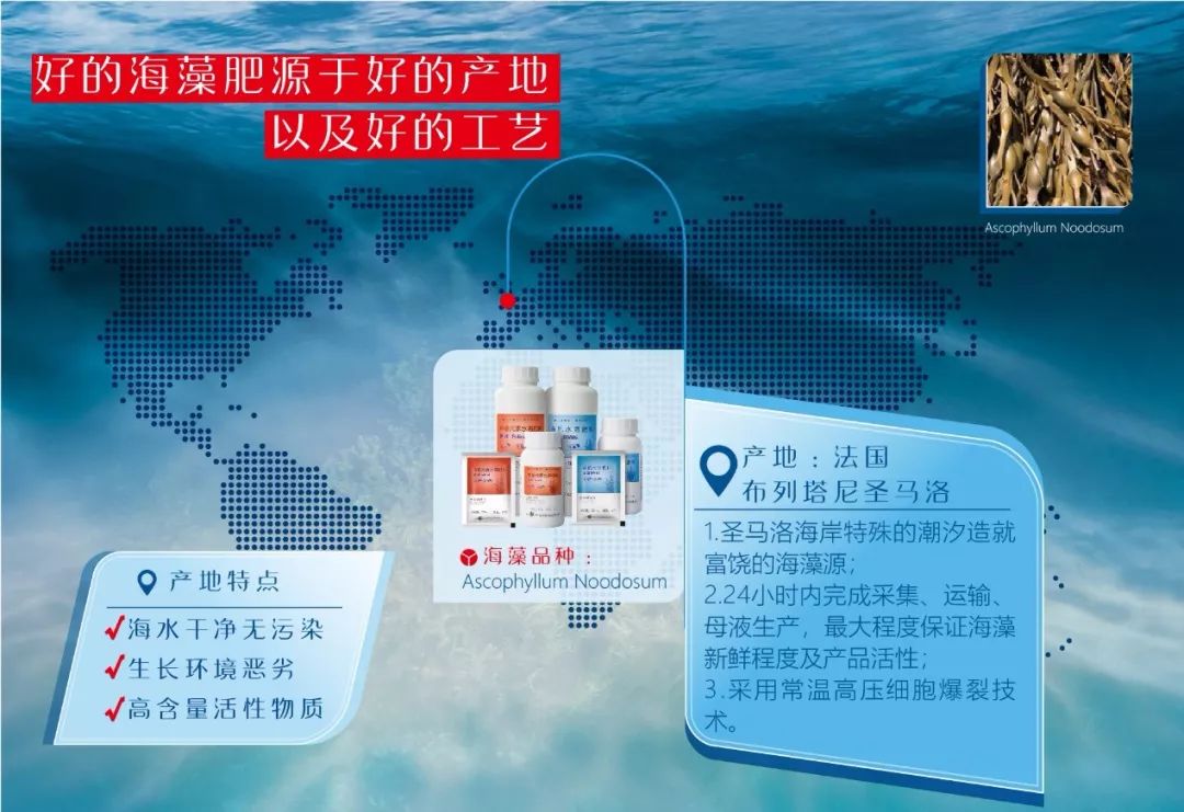 速建：保花保果，膨大防裂，抗逆提质，世界领先的生物激活剂！