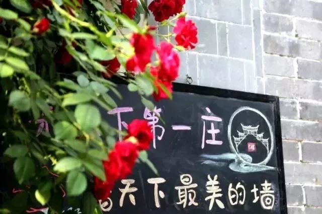 青岛台儿庄古城免费吗,五一台儿庄古城免票吗