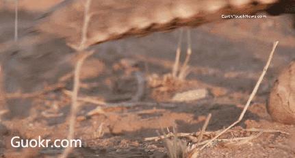 朋友圈代购低价套路,朋友圈里卖低价服装的真相