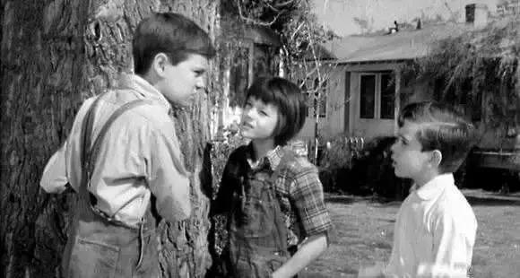 杀死一只知更鸟不要有偏见,杀死一只知更鸟你永远无法理解