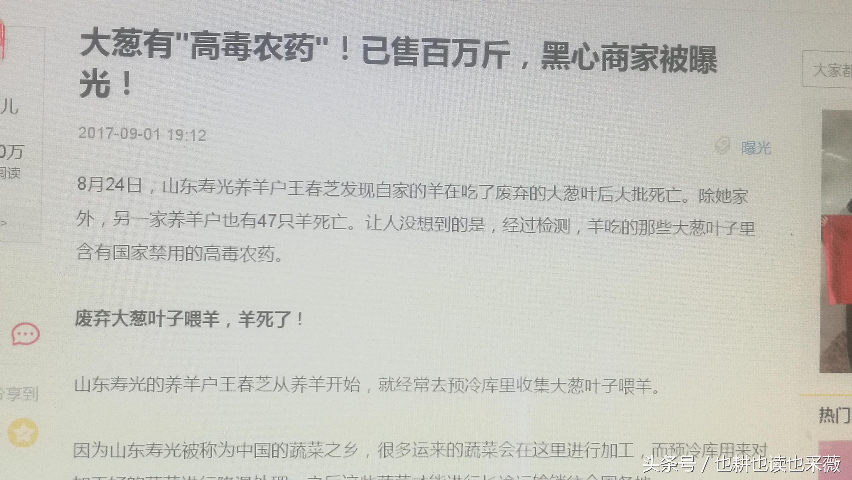 洛阳民生：远离毒大葱，你离自种无公害小香葱可能只差五块钱！