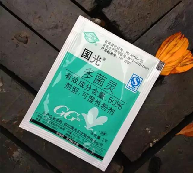 多肉植物的经典100种,多肉的小知识大全简单