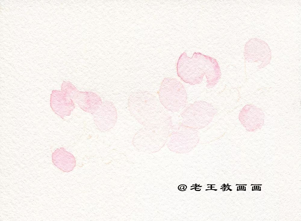 名师教你画桃花,崔老师教你画桃花