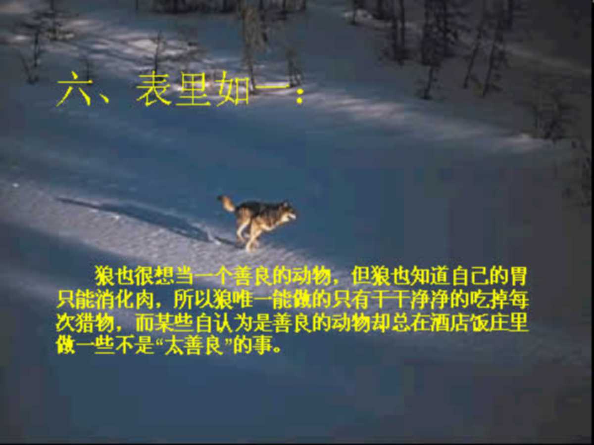 企业团队凝聚力培训ppt,企业团队精神培训ppt