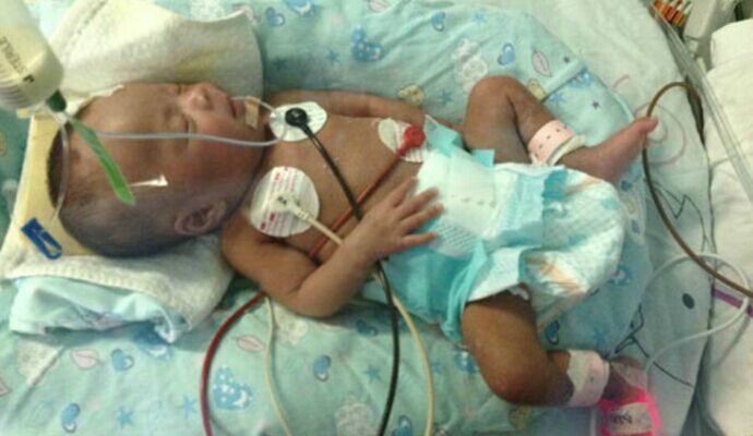 螺旋霉素能预防败血症么,鱼类败血症的预防及治疗