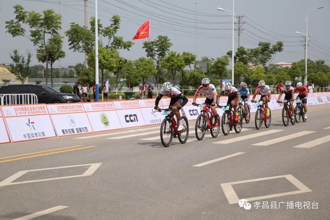 瀛熷畻鏁呴噷瀛濇槍,瀛濇槍姊﹂噷鑺卞洯