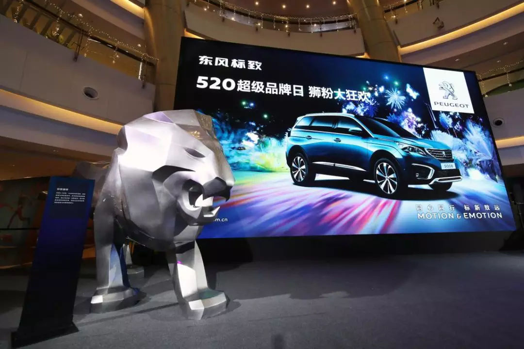 1对255万的表白，小狮子的爱你感受到吗？