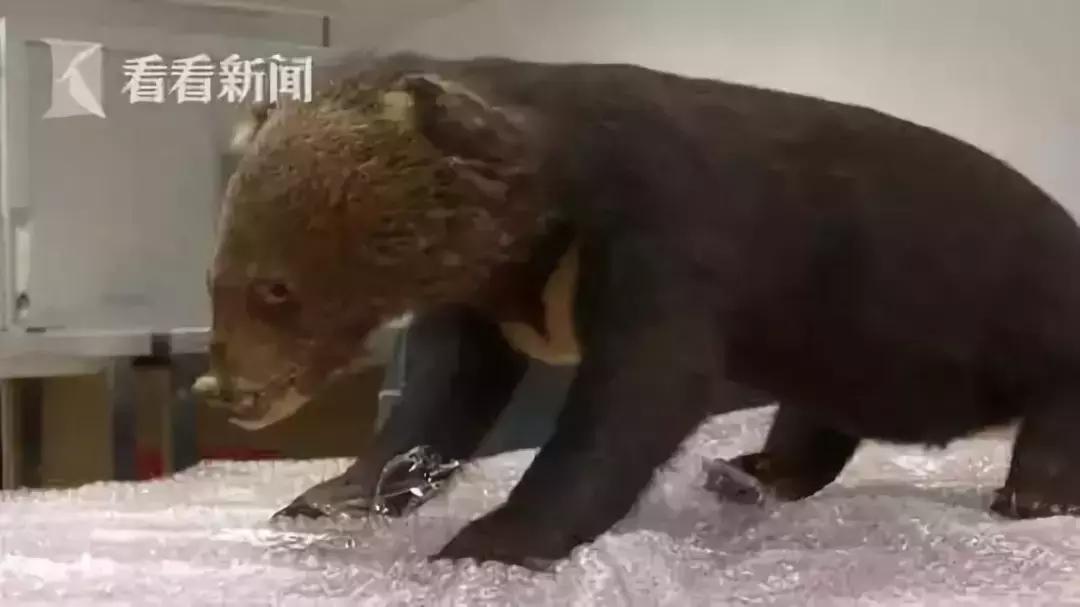 代购十大骗局揭秘图,揭露各种海外代购真相