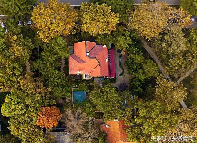 青岛的八大关全景,介绍一下青岛的八大关