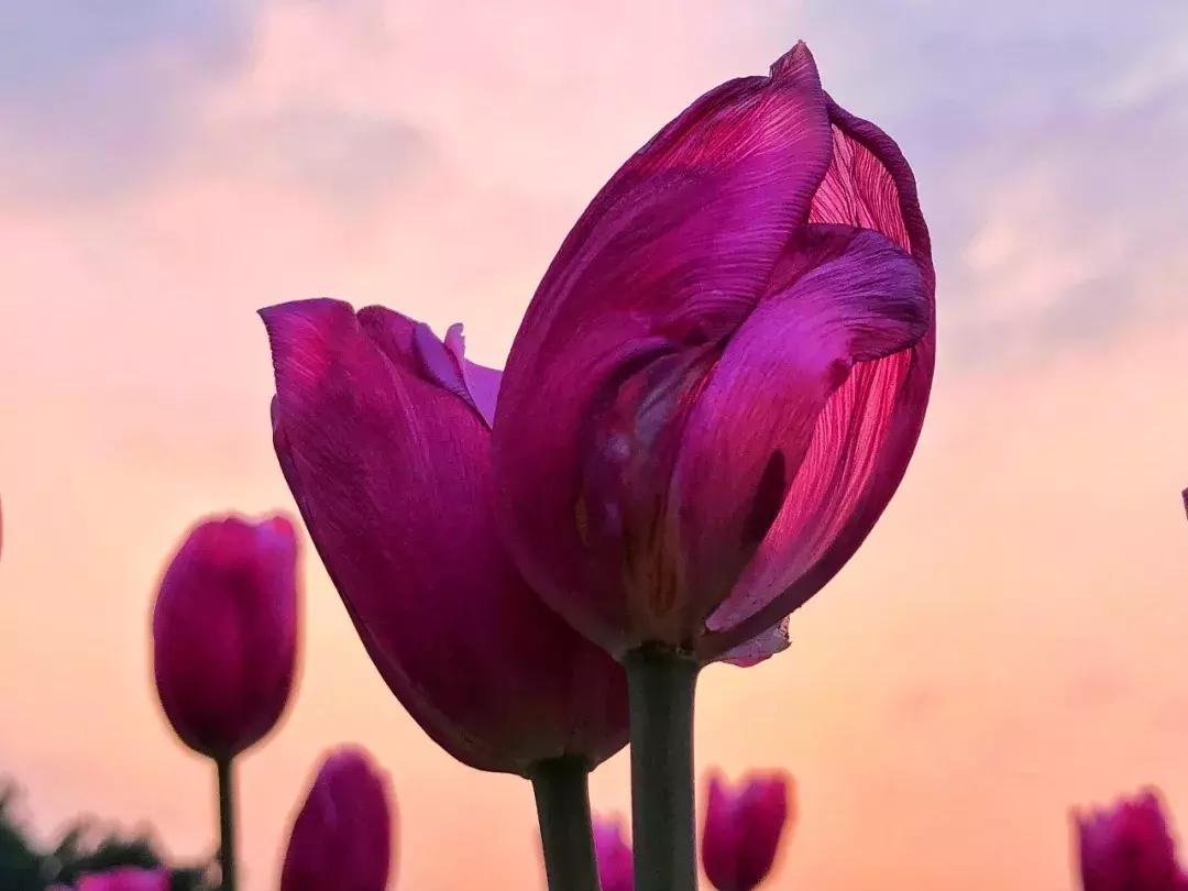 如何把照片拍得更好,你可以拍得更好的英文