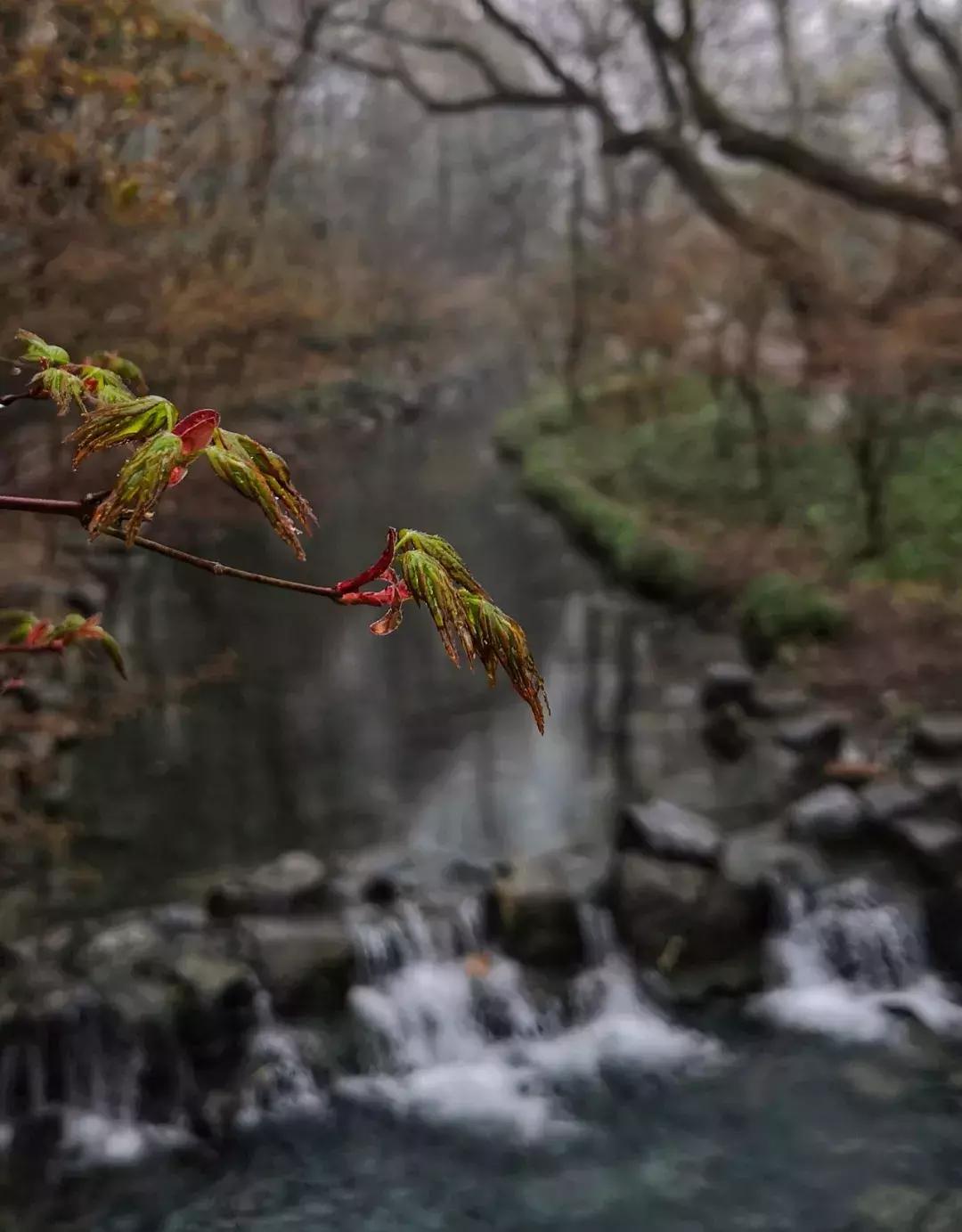 如何把照片拍得更好,你可以拍得更好的英文