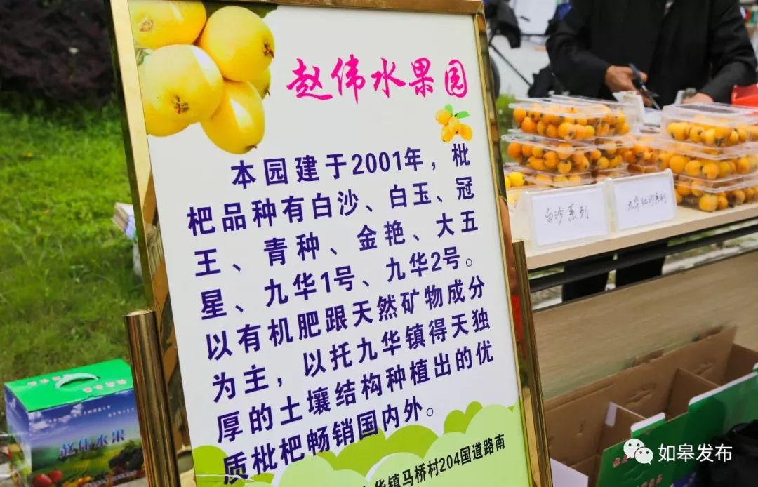 如皋这个地方种了一种神奇的树！树上会掉“金蛋”，“无涌”的人去“抢”！