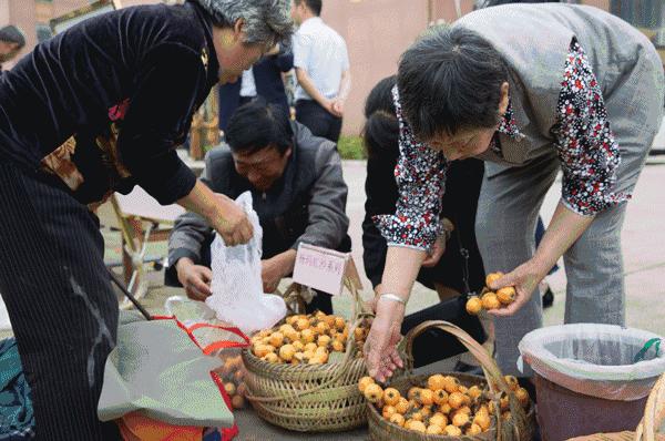 如皋这个地方种了一种神奇的树！树上会掉“金蛋”，“无涌”的人去“抢”！